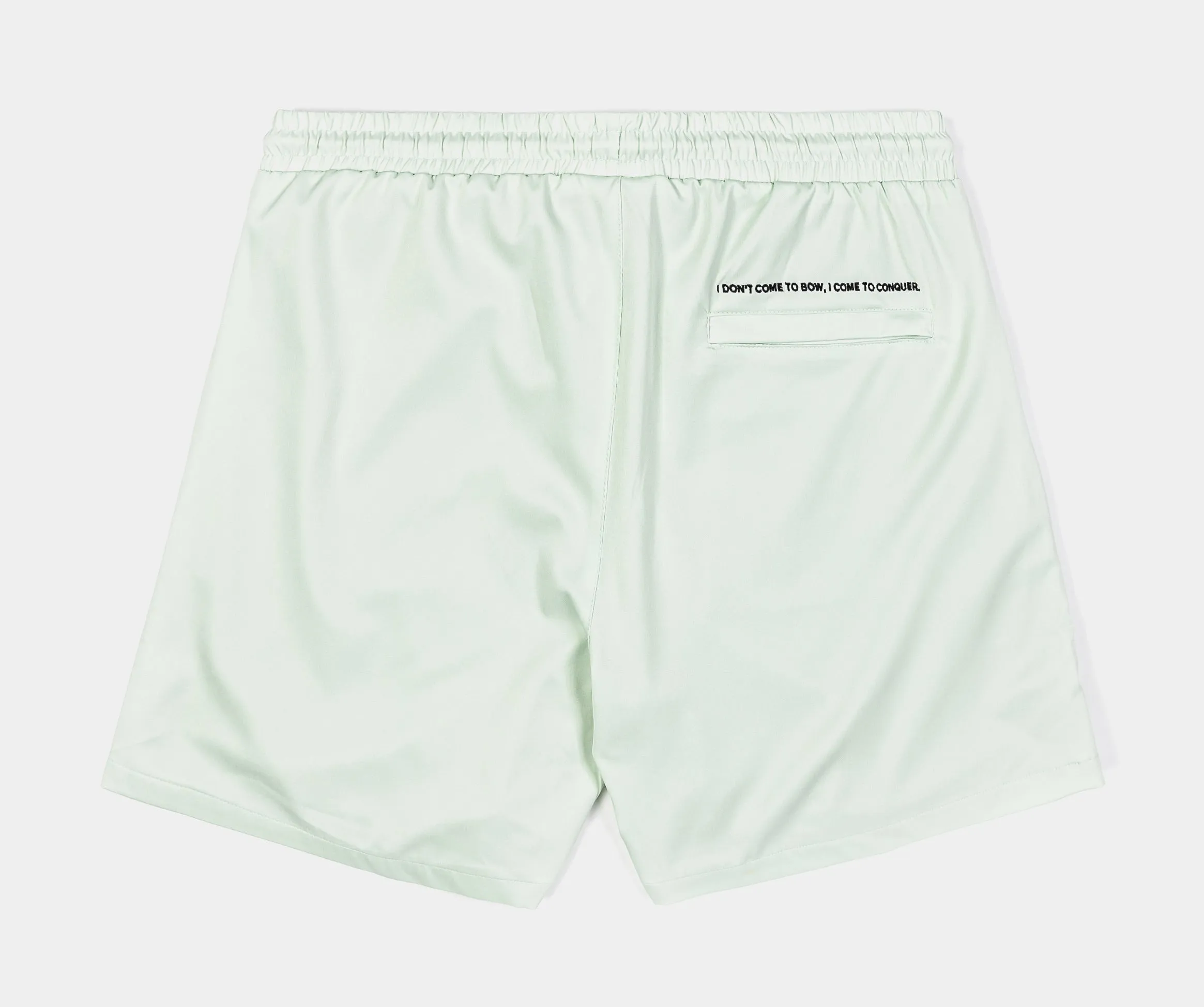 SP x Bob Marley Lyrics Mens Shorts (Sage)